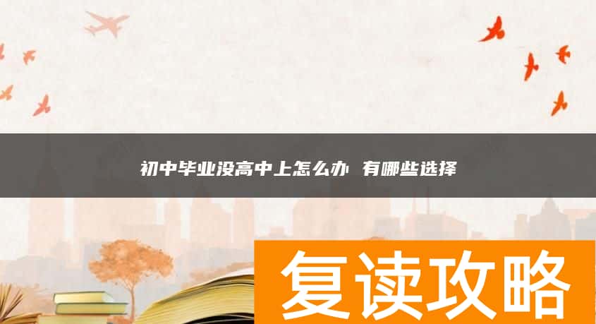 初中毕业没高中上怎么办 有哪些选择