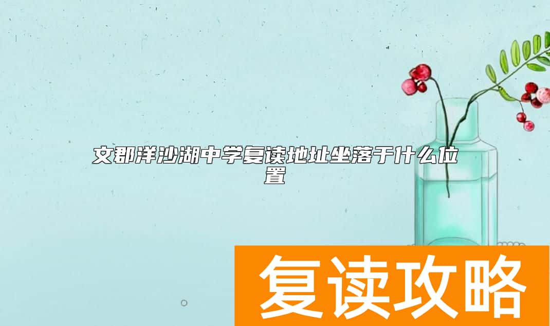文郡洋沙湖中学复读地址坐落于什么位置
